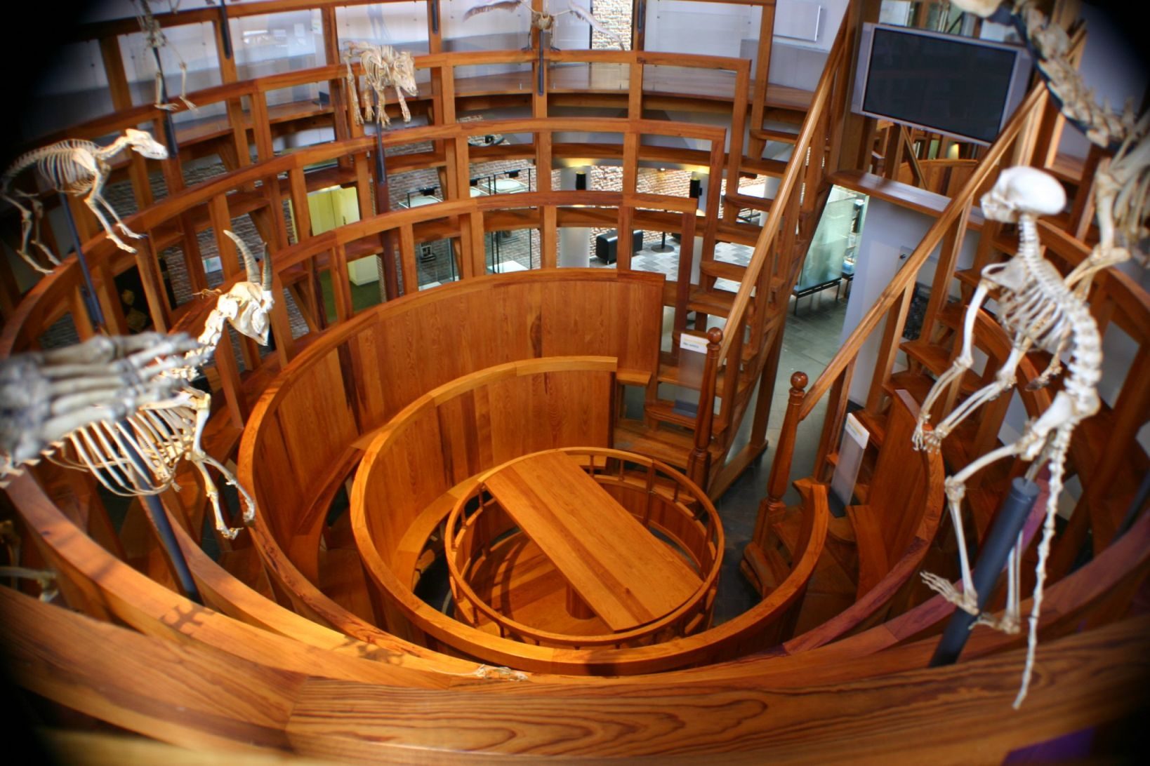 Boerhaave Museum, Leiden - 2.jpg